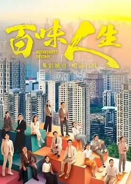 风起南岸都市商战剧全集
