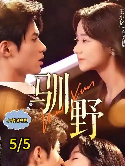 白色回声电视剧全集更新